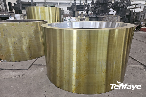 Roller Skin of Roller Crusher